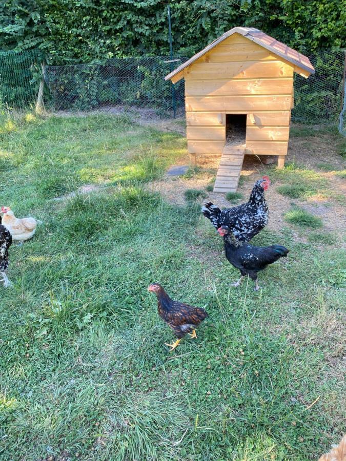 La Petite Ferme De Roumare Villa Eksteriør billede